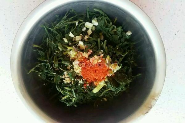 凉拌苦菜的做法图解4