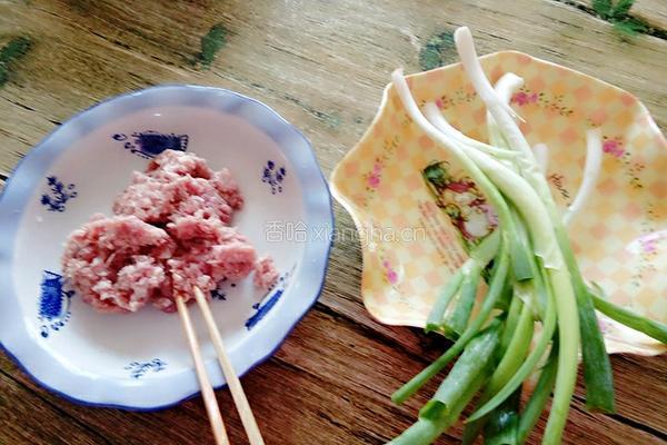 猪肉大葱馄饨的做法图解1