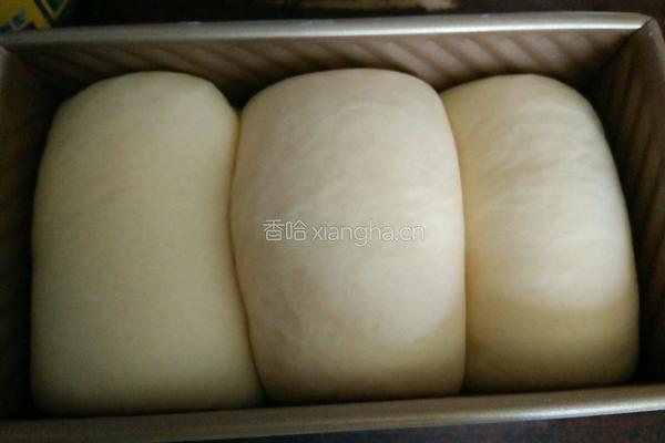椰蓉土司的做法图解5