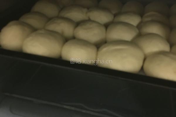 蜂蜜小面包的做法图解8