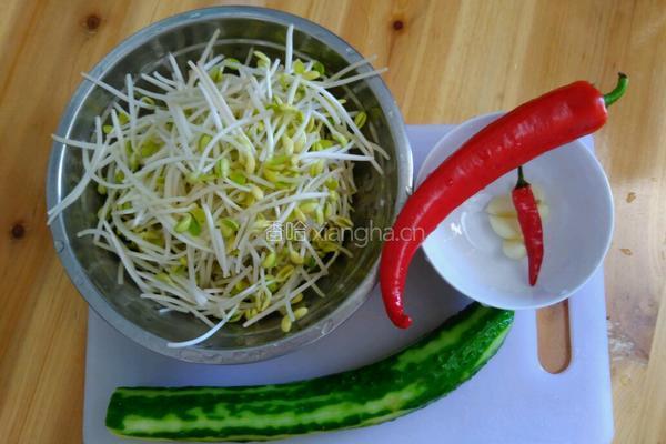 黄豆芽拌青瓜的做法图解1
