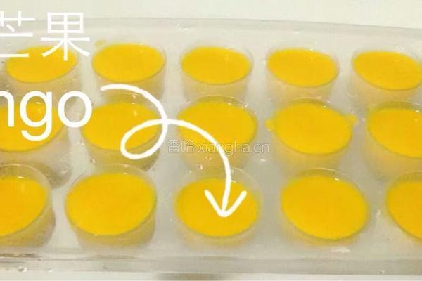 [太阳]热疯了，来点芒果冰沙，味道不错哦！ 的做法图解4
