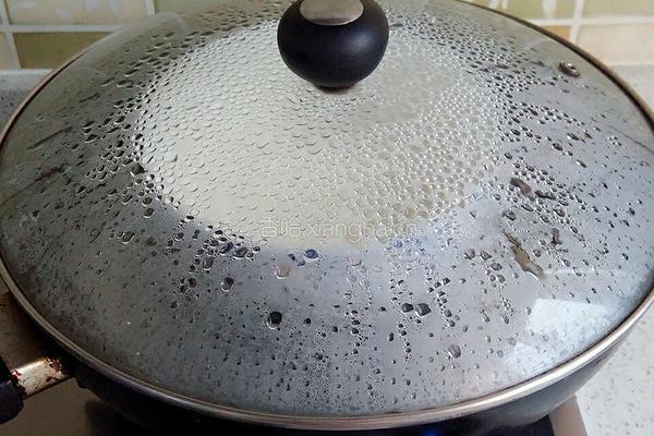 碧叶红莲的做法图解4