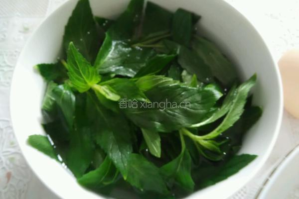 薄荷鸡蛋饼的做法图解1
