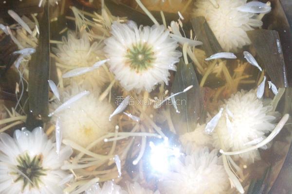 菊花银竹汤的做法图解4