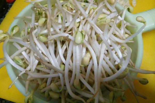 爆炒豆芽的做法图解1