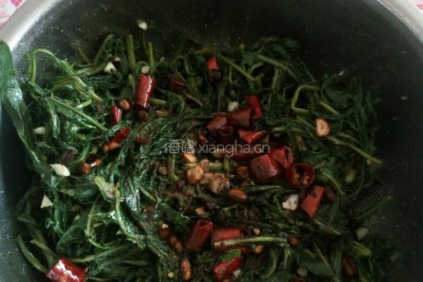 凉拌苦菜的做法图解6