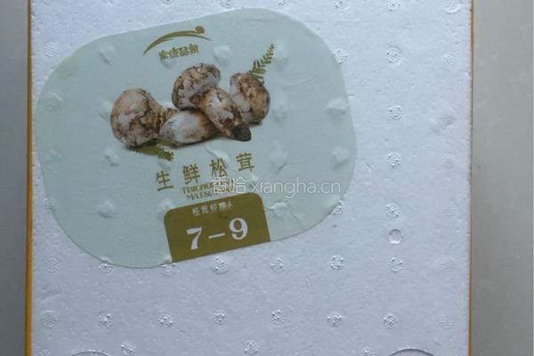 香煎松茸片的做法图解1
