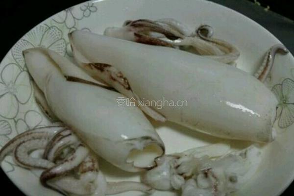美极鱿鱼的做法图解3