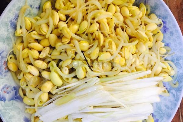 凉调黄豆芽的做法图解6