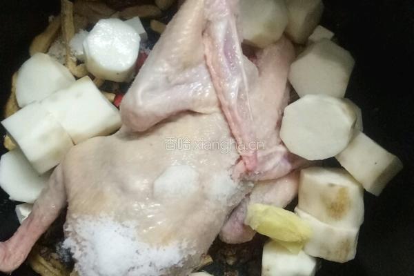 养生乳鸽汤的做法图解1