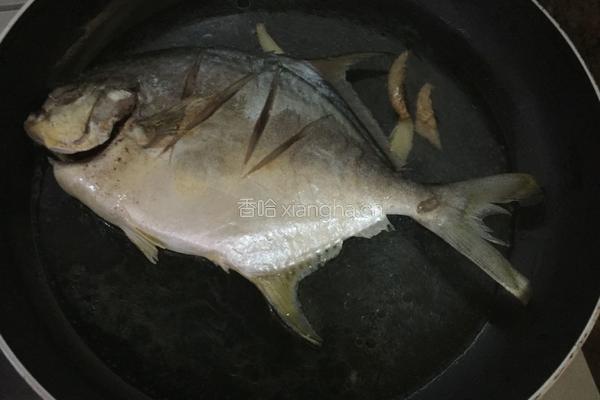 红烧鲳鱼的做法图解5