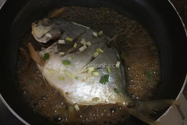 红烧鲳鱼的做法图解8