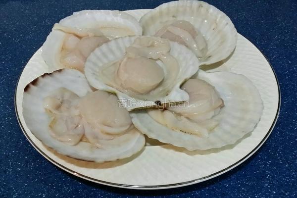 蒜蓉蒸扇貝的做法图解1