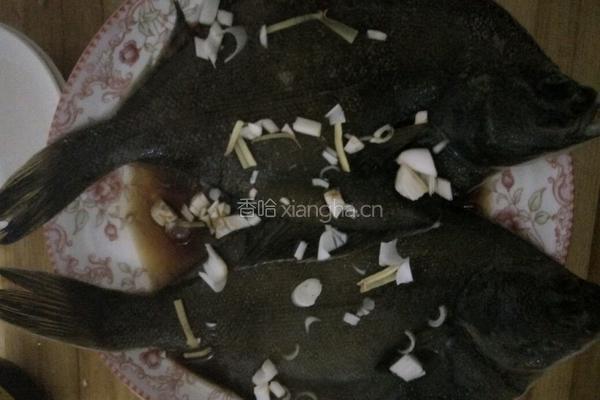 香煎偏口鱼的做法图解2