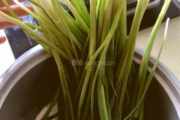 鲜肉馄饨的做法图解2
