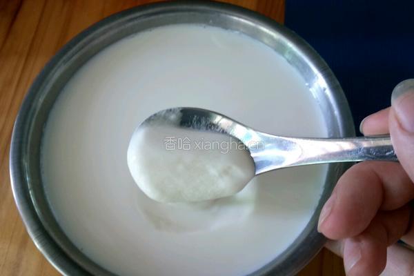 自制酸奶（不用酸奶机烤箱)的做法图解8