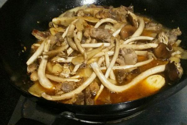 茶树菇子姜鸭的做法图解8
