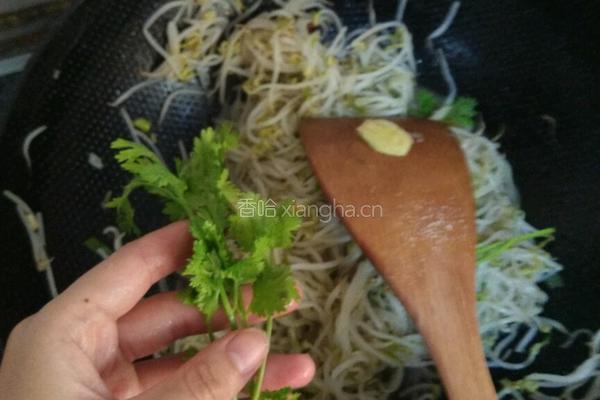 酸辣绿豆芽的做法图解6