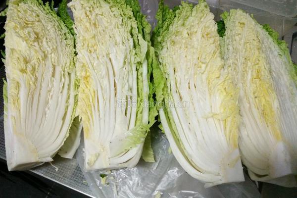 辣白菜的做法图解1