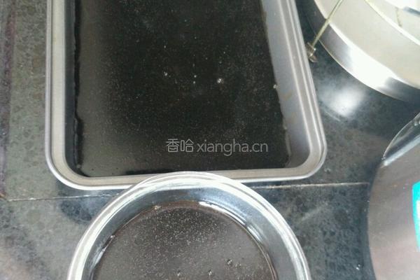牛奶菊花龟苓膏的做法图解12