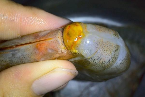 水煮麻辣大虾的做法图解3