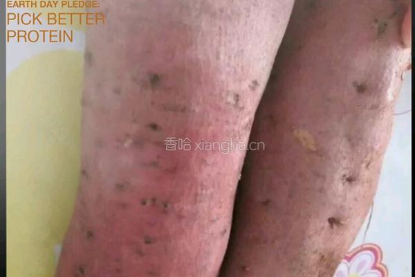 红薯元宵的做法图解2