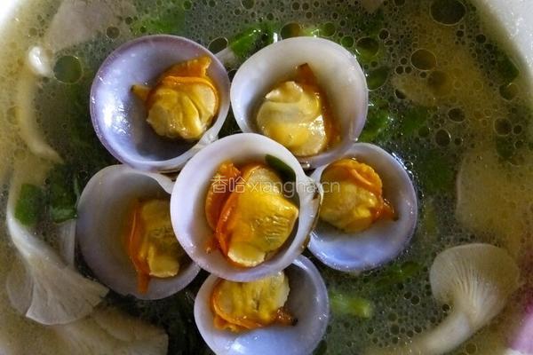 花蛤菌菇汤的做法图解4