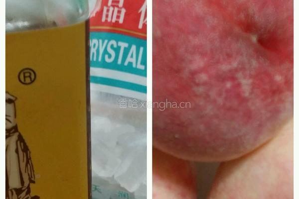 自制水蜜桃罐头的做法图解1