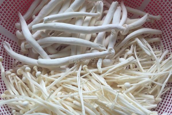 鲜菇牛尾汤的做法图解2