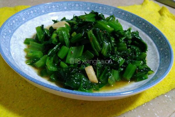 清炒芥菜的做法图解5