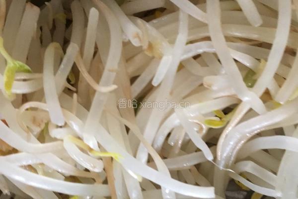凉拌豆芽菜的做法图解1