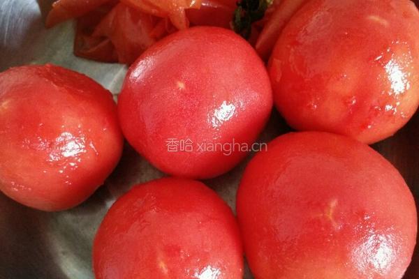 番茄豆腐的做法图解4