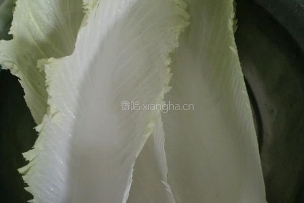 青炒白菜的做法图解2