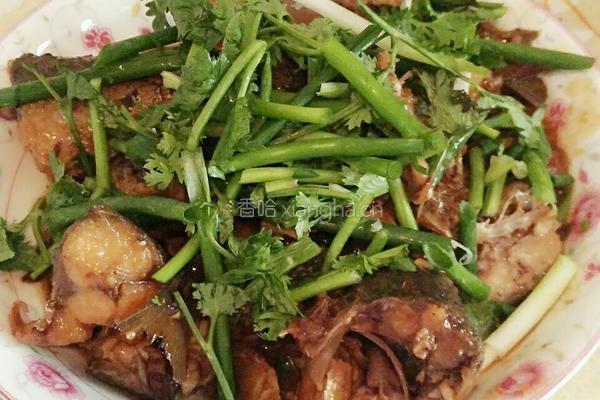 红烧鲅鱼的做法图解4