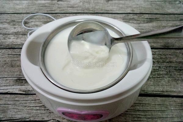自制酸奶的做法图解10