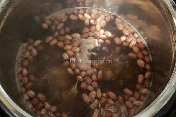 花生大蒜骨头汤的做法图解6