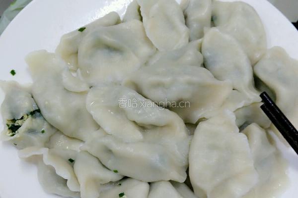 韭菜鸡蛋饺子的做法图解6