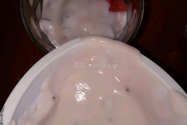 酸奶盆栽的做法图解6