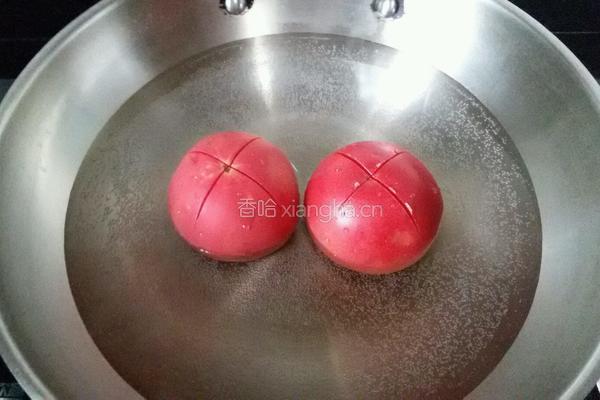西红柿炖牛腩的做法图解6