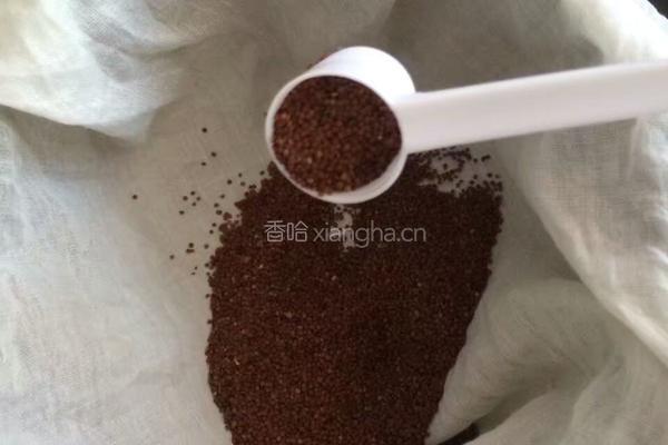 冰粉儿的做法图解2