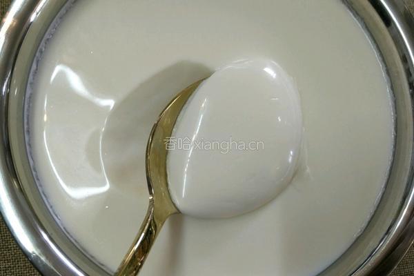 自制益糖酸奶(糖尿病糖友食谱)(减肥瘦身适用)的做法图解5