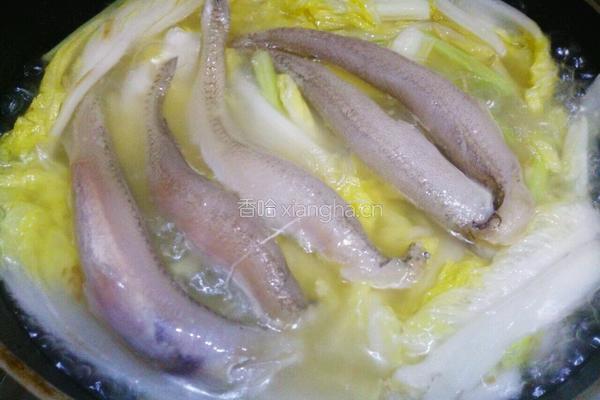 娃娃菜粉丝豆腐鱼汤的做法图解9
