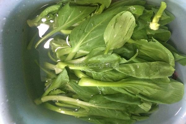 蒜蓉小白菜的做法图解1