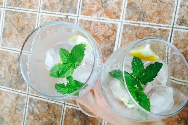 莫吉托的做法图解3