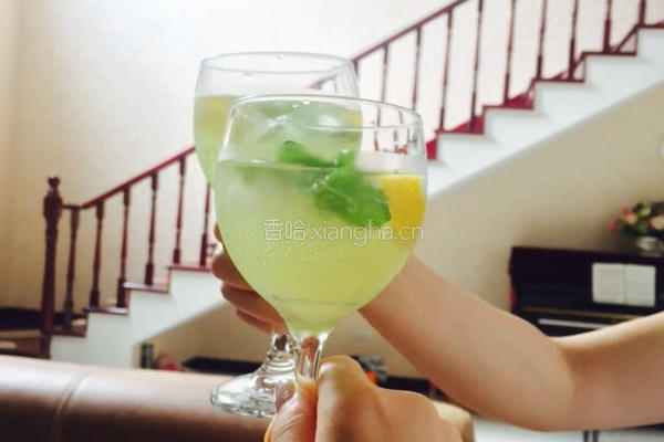 莫吉托的做法图解5