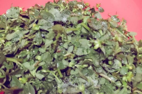 马齿苋煎饼的做法图解2