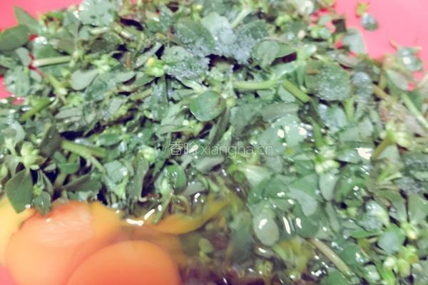 马齿苋煎饼的做法图解3