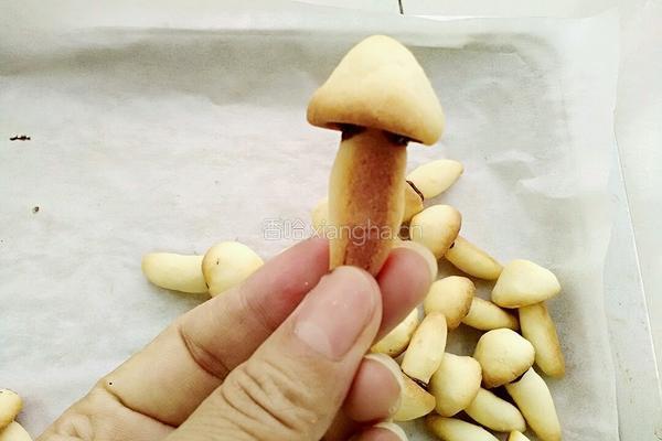 蘑菇力饼干的做法图解15