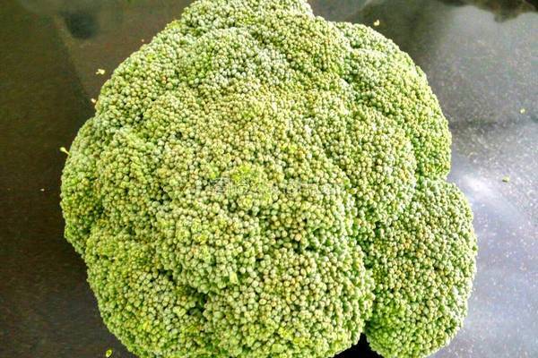 清炒花椰菜的做法图解1